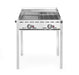Grillsystem Green Fire mit 2 Brennern, HENDI, Profi Line, Emaillierte Grillplatte und Grillrost aus Gusseisen GN 1/1, 11,6kW, 740x615x(H)825mm