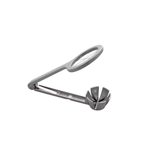 SCHNEIDER EISTÜCKLER - ELB Gastro