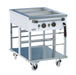 CombiSteel Bain-Marie Wagen 2/1.