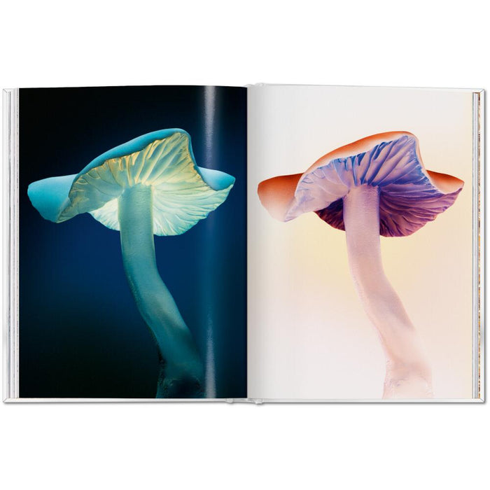 The Gourmand’s Mushroom – TASCHEN Coffee Table Book