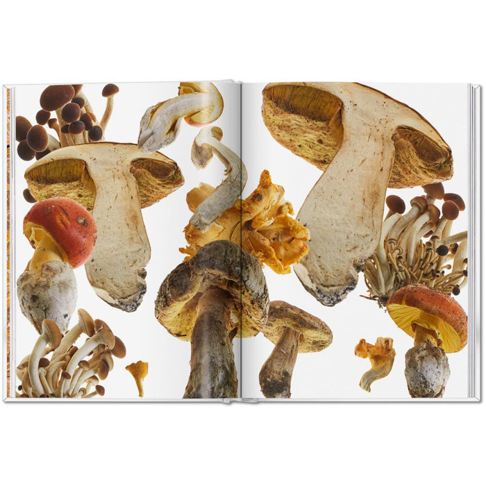 TASCHEN The Gourmand Bundle – Lemon, Mushroom & Eier