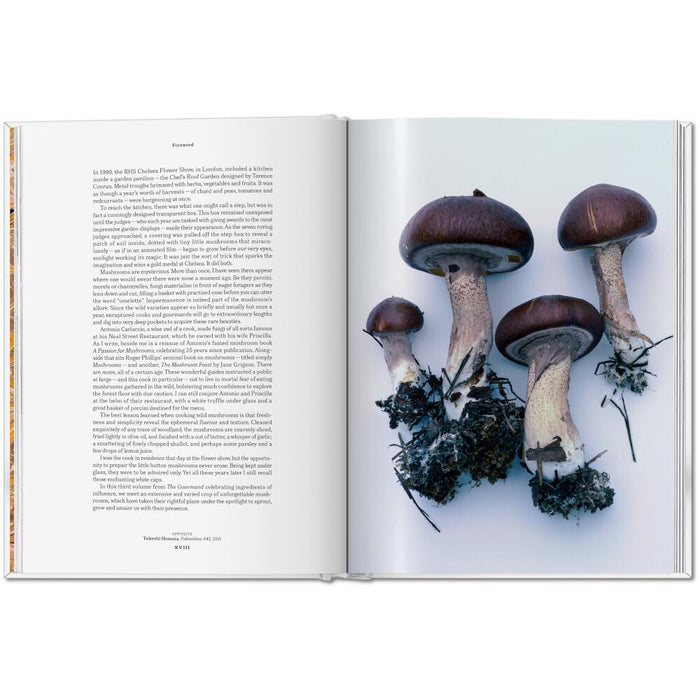 TASCHEN The Gourmand Bundle – Lemon, Mushroom & Eier