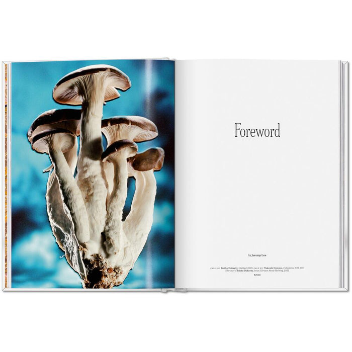 TASCHEN The Gourmand Bundle – Lemon, Mushroom & Eier